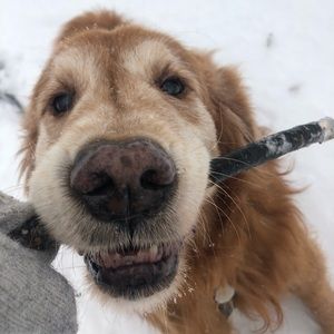 Meet your Posher, Camille